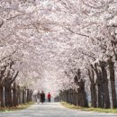 동해시-28 이미지