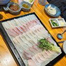 회바라기 이미지