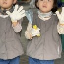 보령팜플러스