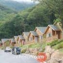 용인자연휴양림 이미지