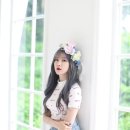 금조