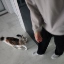 박건강