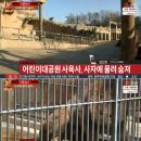 서울어린이대공원동물병원 이미지