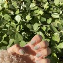 차차네일샵 | 부천 송내역 차차네일샵 말차네일 받고 온 후기 송내역네일 추천