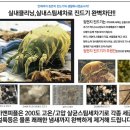시흥출장세차 이미지