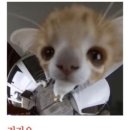 후루룩냠냠 이미지