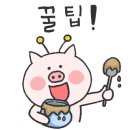 해송견과류쌈장 이미지