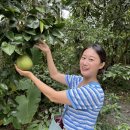 삼부농장 이미지