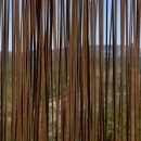 포메디한의원 이미지