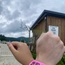 홍식농장 이미지