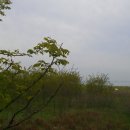 홀뫼민박 이미지