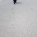 케이비에스 이미지