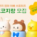 코코지나 매일경제