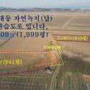 매물번호:1000-120,서산시 양대동 자연녹지(답)6609㎡(1,999평)매가3.3㎡당9만원 이미지