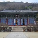 태화강디자인광고 투어코리아