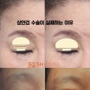 에스에이치의원 이미지