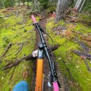 G.A GARAGE M 이미지