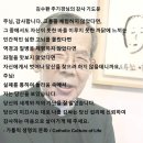 김수환 스테파노 추기경님 명언 모음 이미지