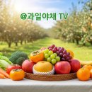 문화과일야채