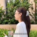 진저캣