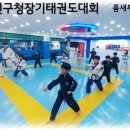 SKY현대태권도 이미지