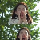 오동도관광호텔 | 전라남도 여수 가볼만한곳 오동도 4월초 동백꽃, 벚꽃