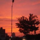 옥산제방 이미지