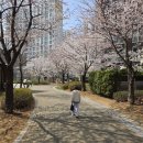 슈아브어린이집 | 봄 피크닉 필수템 브라운 가든에디션 아기물티슈 친환경 신생아 준비물