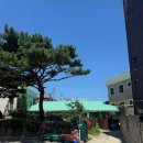 7585추억의카페 | [강원/고성] 가진해변 근처 초록지붕 애견동반카페 '테일'
