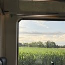 빅투치킨 | 유럽/ 독일🇩🇪 신혼여행 기록