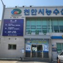 농수산물도매시장 채소1동_1 이미지