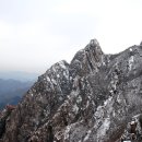 노루메기 이미지