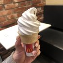 새운아파트 놀이터 | 노잼 일상 속 작은 즐거움 찾기