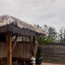 둥지올레모텔 | [240316-240319] 봄 제주도(남쪽, 서쪽) 여행 기록 🍊