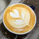 (주)이레시스템서울지점 | 서울바리스타학원 라떼아트 튤립 로제타 하트 기초부터 마스터하기