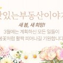 푸른봄공인중개사사무소 이미지