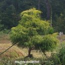 도흥농장 이미지