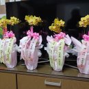 예천동부초등학교제22회 이미지