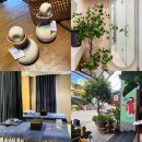 동동카워시 | 다낭 마사지 팁 시내 한시장 스파 공항픽업 짐보관되는 루나스파