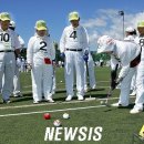 게이트볼 이미지