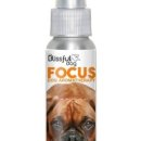 도그아로마 이미지