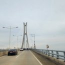 메르치 이미지