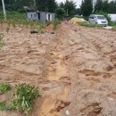 긴뿌리농장 이미지