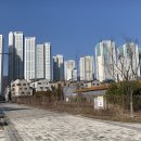 일직수변공원 이미지