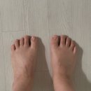 지구 관측 일지🌏 [29-30W] 엔진 과부하 저속 비행 모드 시작