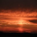 남당농장 이미지