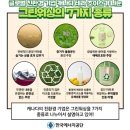 그린마크로 티스토리