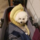 카페니치어은점 이미지
