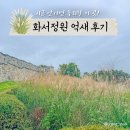 화서공원 | 수원 갈대 억새 명소 갈만한 곳 추천, 화서공원 지금이 타이밍!