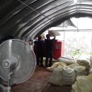 다온농장2 이미지